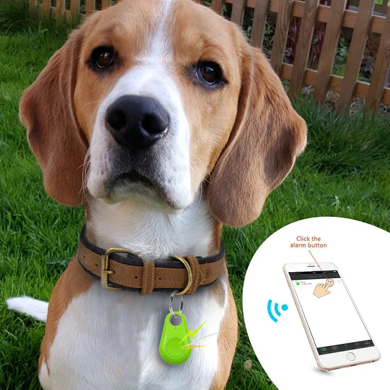1+1 GRATIS! GPS-Tracker für Haustiere