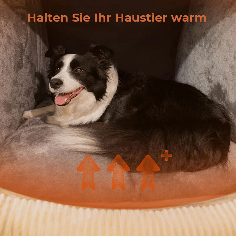 Gemütliches Hundezelt für erholsamen Schlaf
