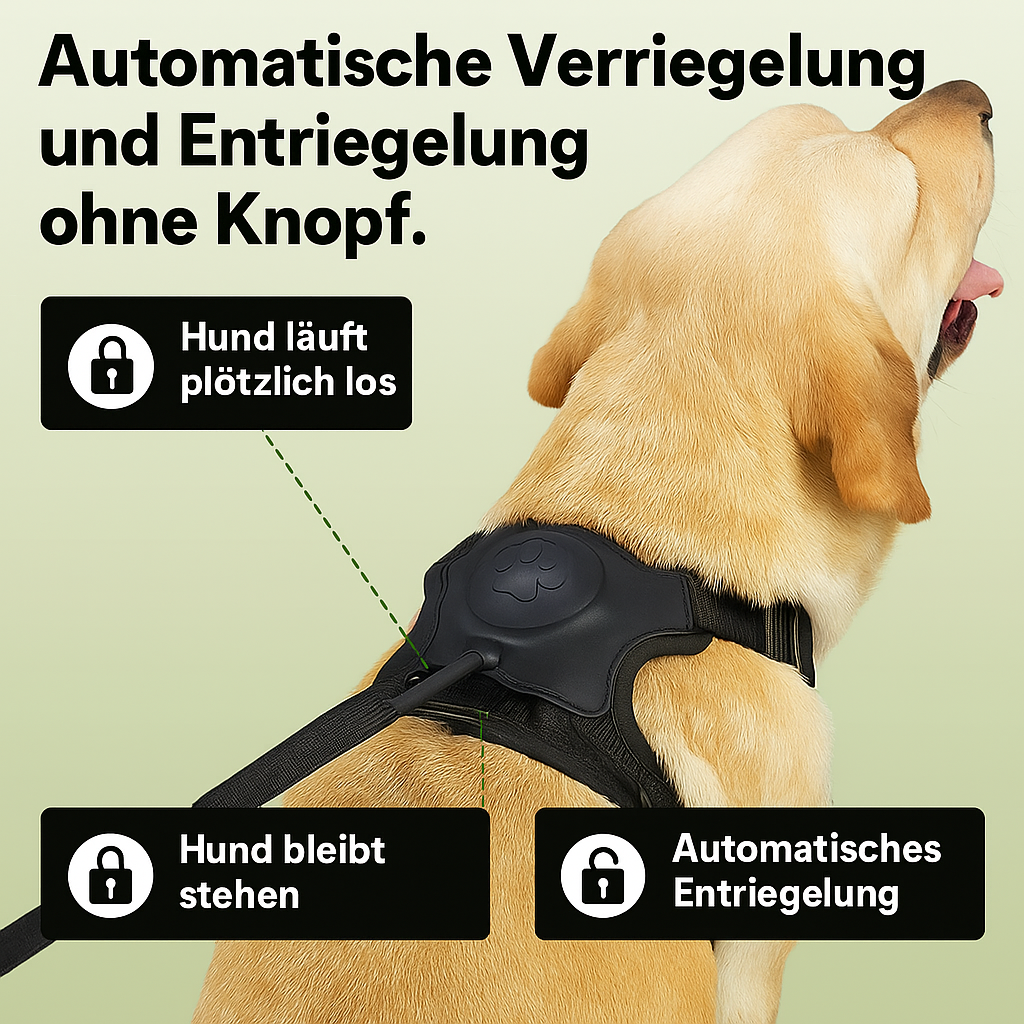 Anti-Zieh Hundegeschirr mit Leine