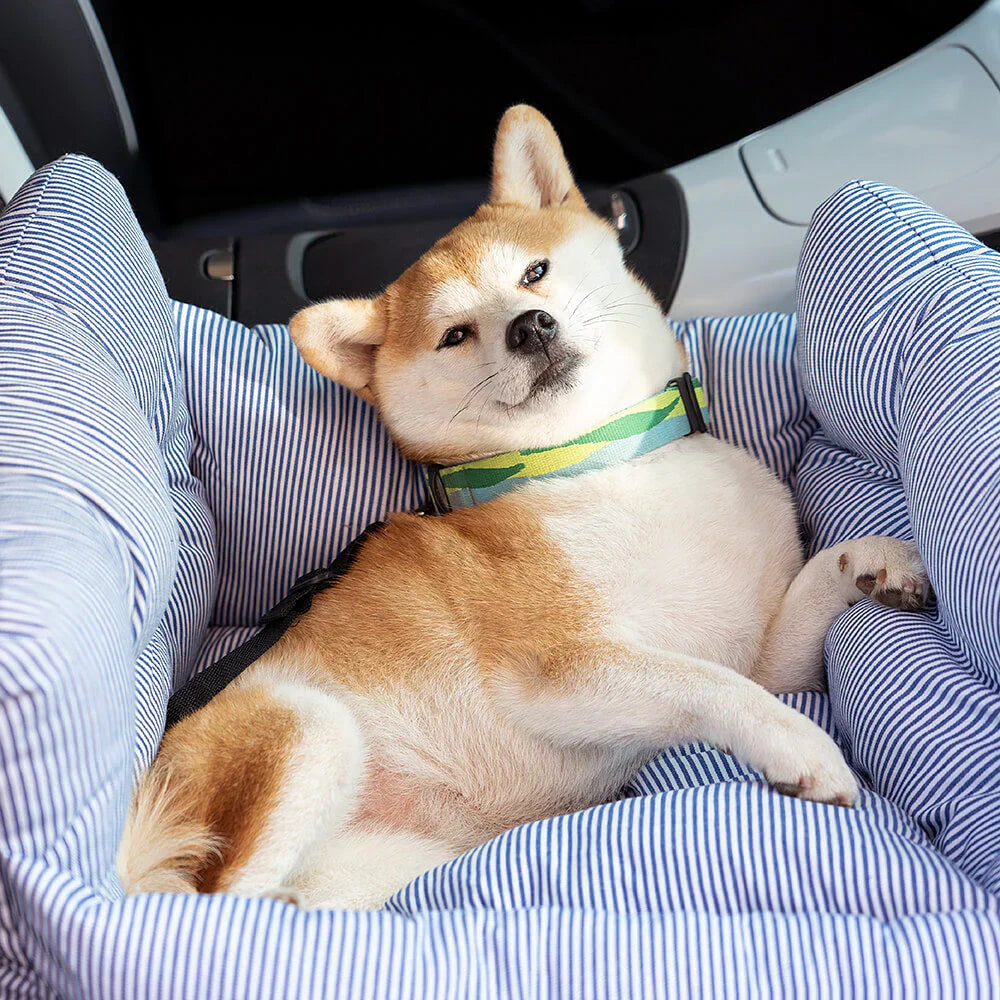 Bequemes Hundebett für das Auto