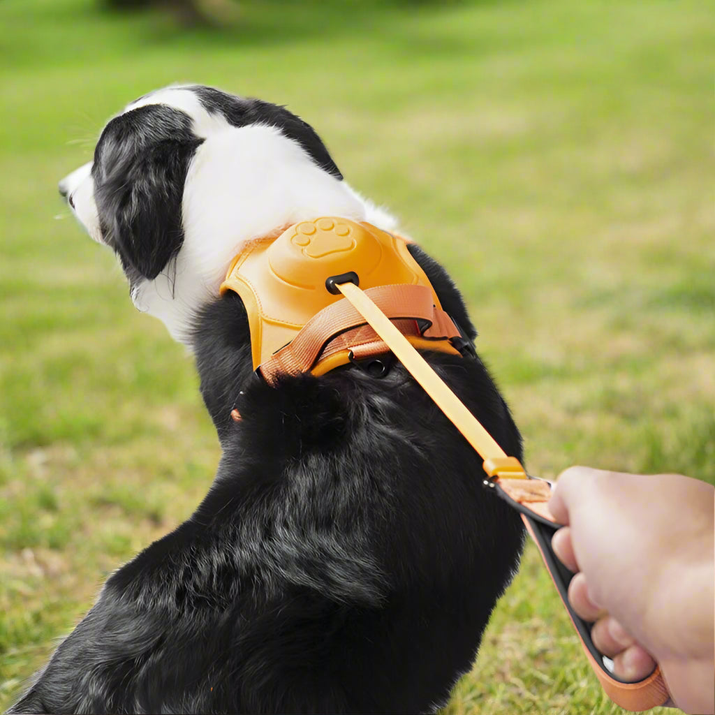 Anti-Zieh Hundegeschirr mit Leine