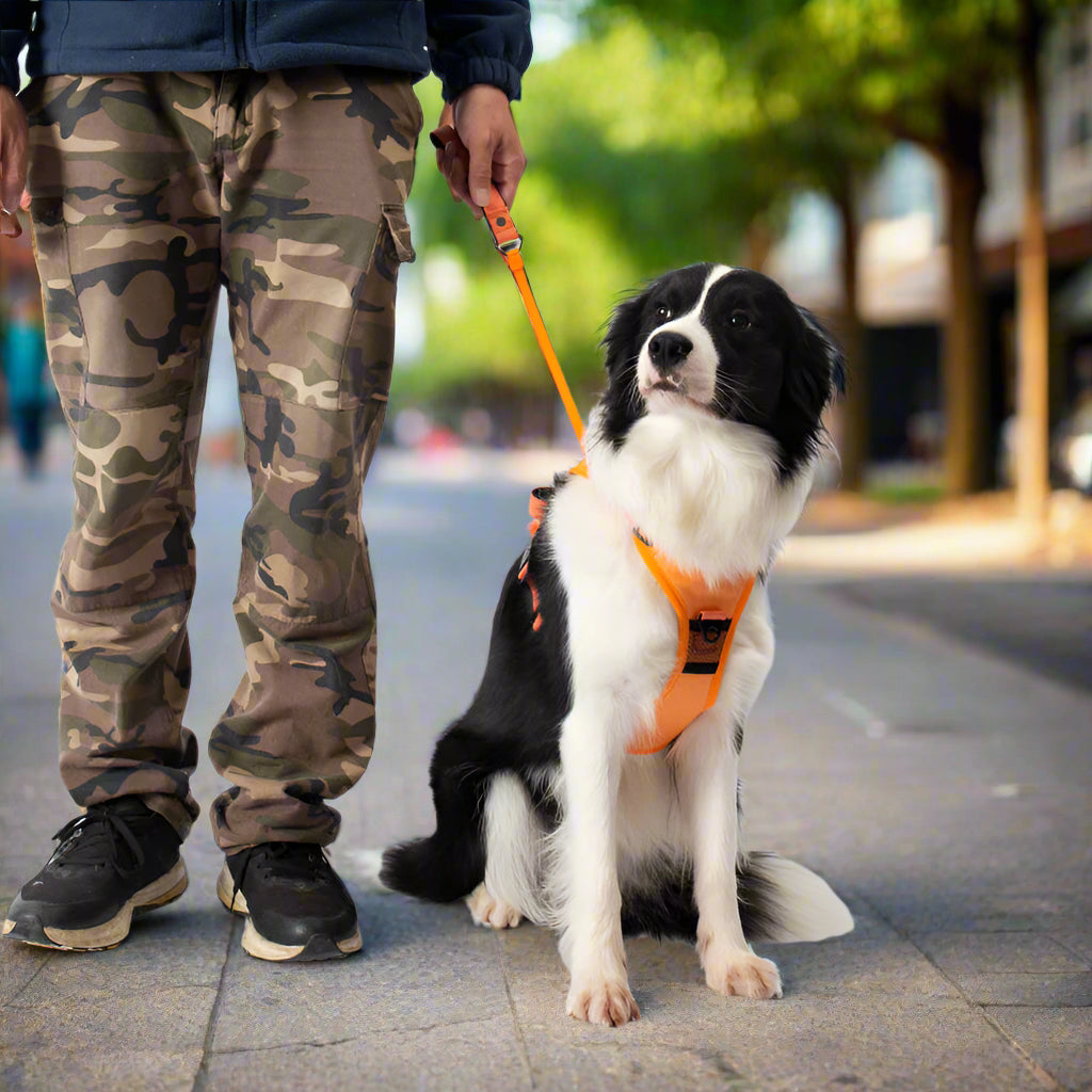Anti-Zieh Hundegeschirr mit Leine
