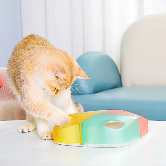 Intelligentes Katzen Versteck Spielzeug