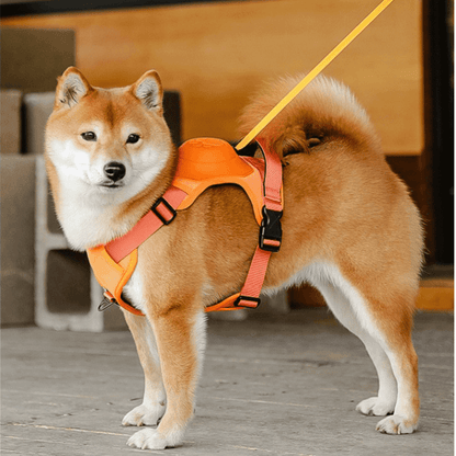 Anti-Zieh Hundegeschirr mit Leine