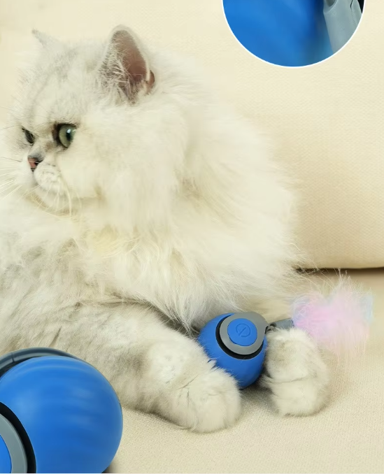 Interaktives Selbstfahrendes Katzenspielzeug mit Bewegungsanimation