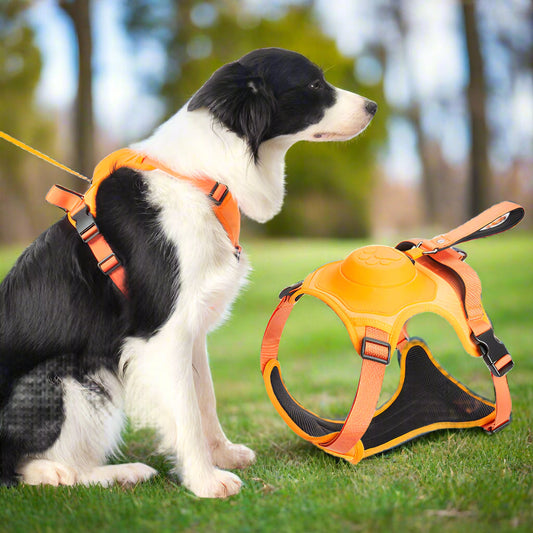 Anti-Zieh Hundegeschirr mit Leine
